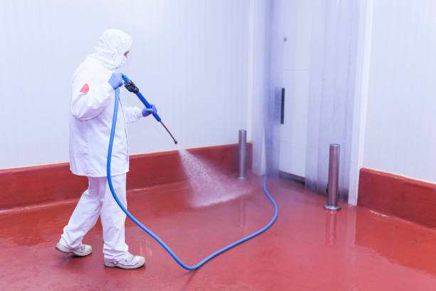 Best Driveway Pressure Washing  in Bear Creek Ranch, TX